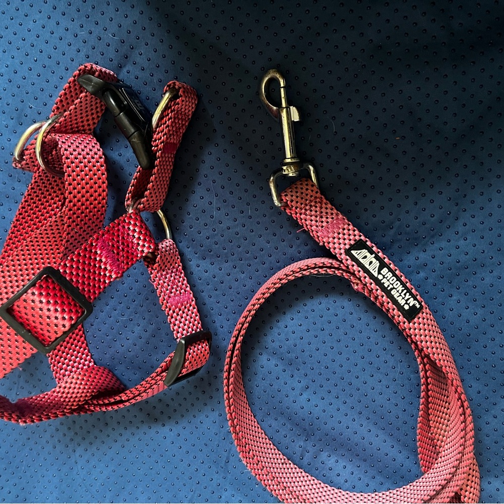 Red Dog Harness and Leash Set